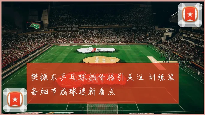 樊振东乒乓球拍价格引关注 训练装备细节成球迷新看点